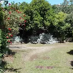Giardini Irlandesi 루파노