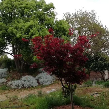 Panzió Giardini Irlandesi 3*