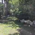 Giardini Irlandesi