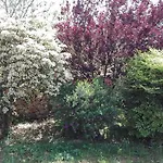Giardini Irlandesi 3*