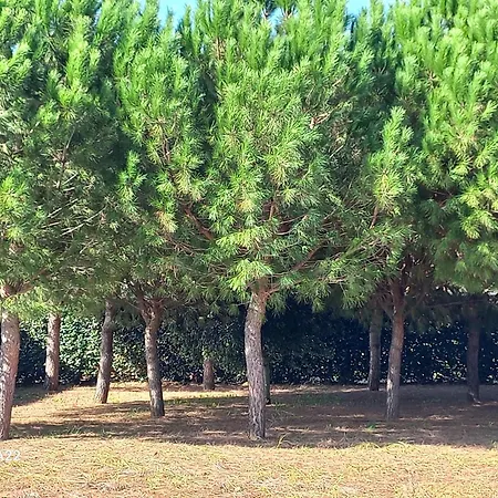 Frühstückspension Giardini Irlandesi 3*