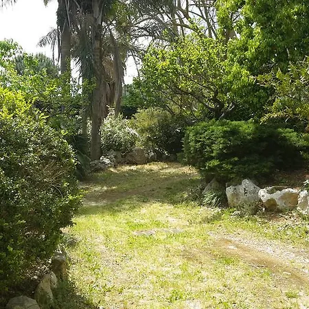 Giardini Irlandesi