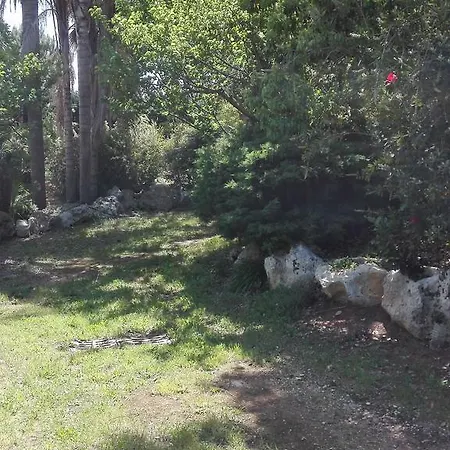 Giardini Irlandesi