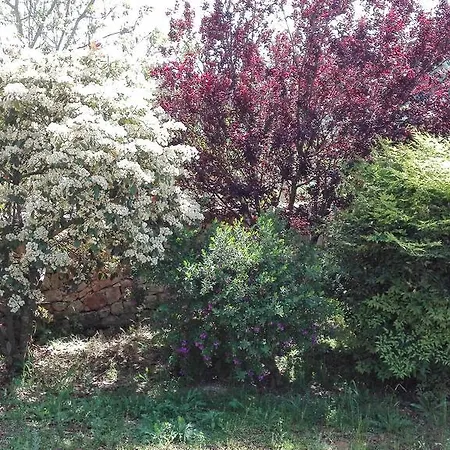 Giardini Irlandesi *