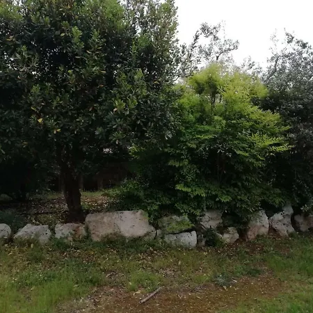 Giardini Irlandesi *