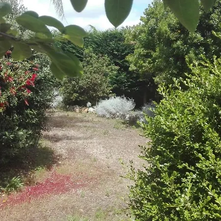 Giardini Irlandesi *